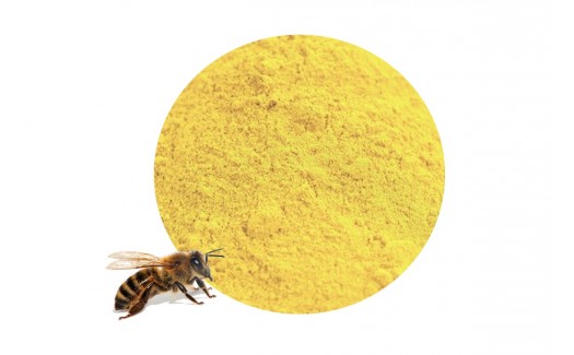 Pollen d'Abeilles en poudre Actif cosmétique